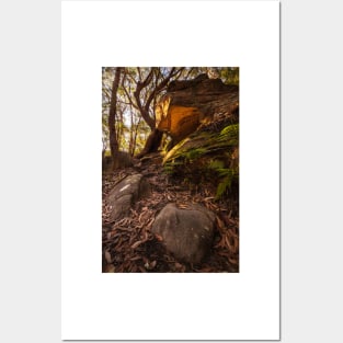 Cave In Bushland Posters and Art